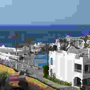 vertical-timeline-with-image-4-4